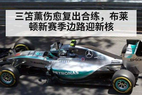 三笘薰伤愈复出合练，布莱顿新赛季边路迎新核