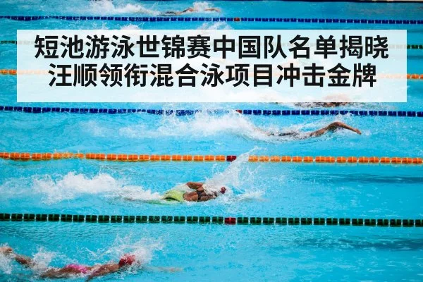 短池游泳世锦赛中国队名单揭晓 汪顺领衔混合泳项目冲击金牌